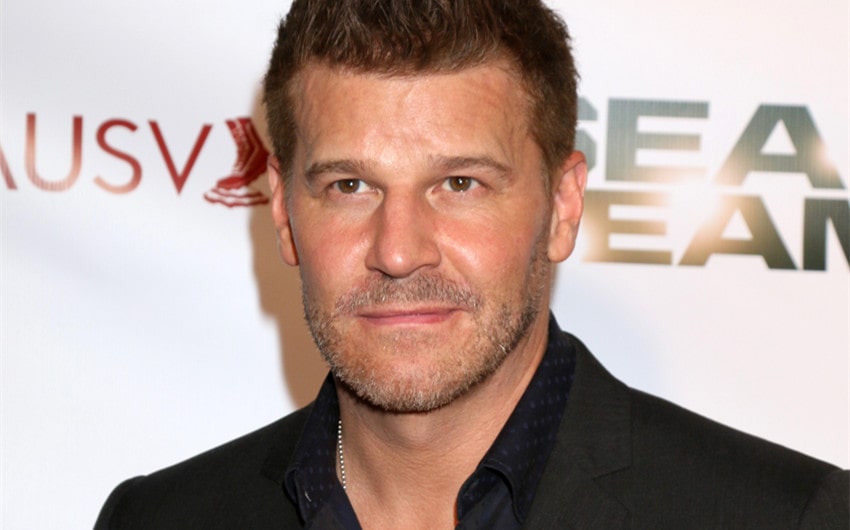 ingrid quinn david boreanaz wife